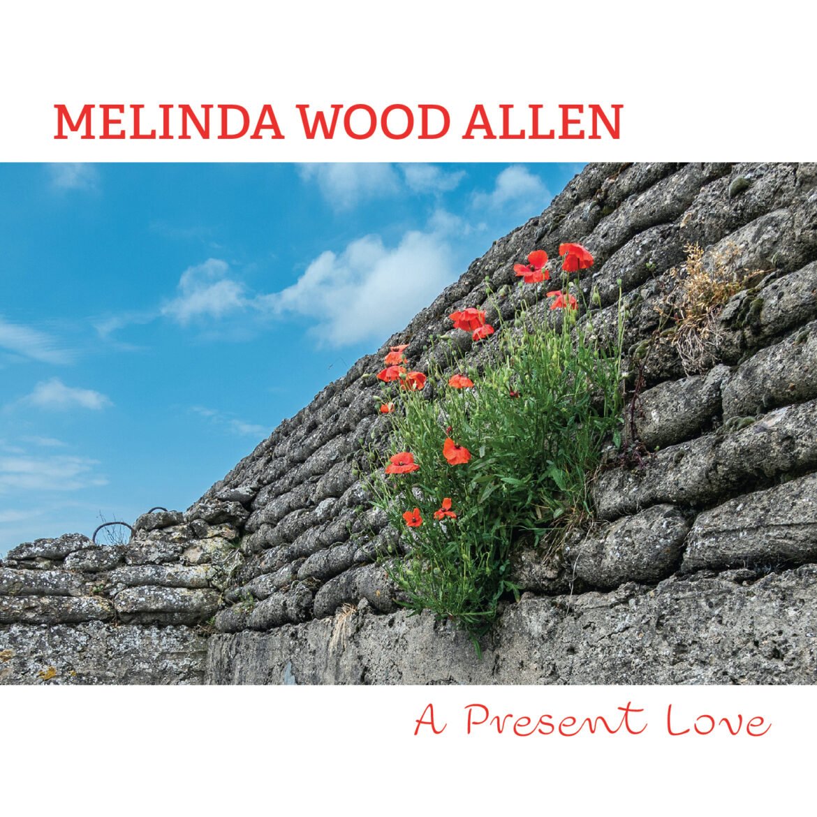 A Present Love - CD cover art